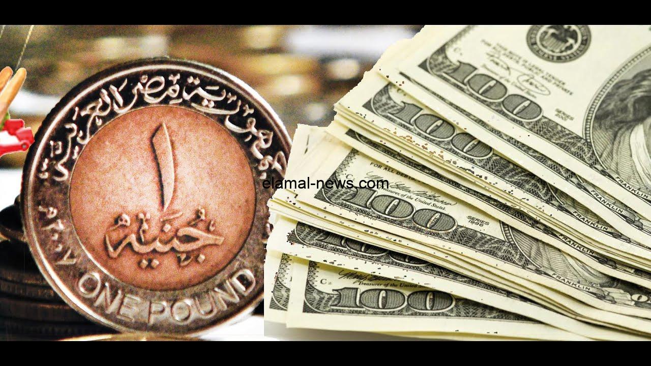 ارتفاع مفاجيء.. سعر الدولار اليوم مقابل الجنيه المصري الخميس 12 سبتمبر 2024 داخل البنوك ومكاتب الصرافة