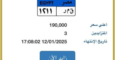 طرح لوحة سيارة مميزة تحمل حروف "قـ مـ ر" بسعر 190 ألف جنيه