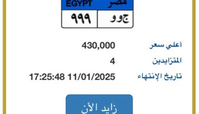 قبل ساعات من انتهاء المزايدة.. لوحة سيارة مميزة يصل سعرها لـ 430 ألف جنيه